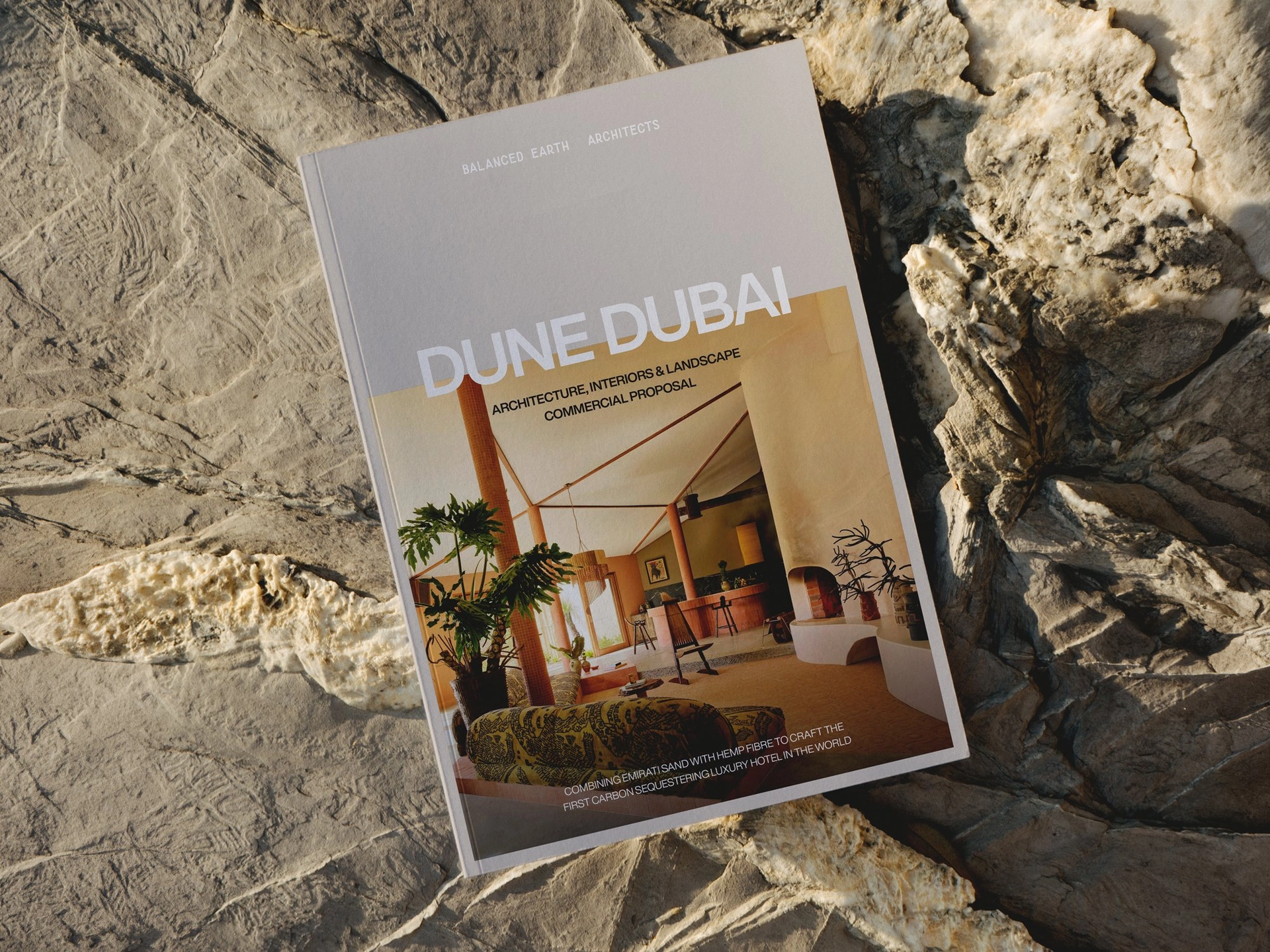 Establishing trust through visual design