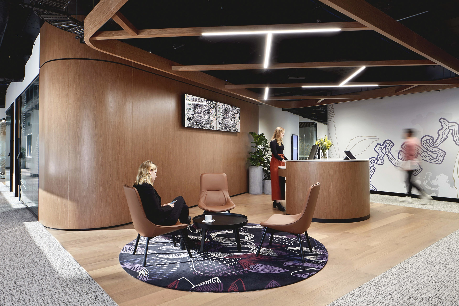 Ausgrid environmental graphics